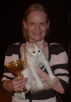 Safkan Kedi's Apollon vinder BIS p sin frste katteudstilling