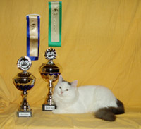 Tim vinder BEST IN SHOW & BEST OF BEST