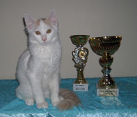 Apollon vinder BEST IN SHOW to dage i trk