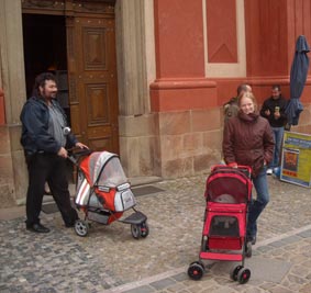 Pierre og Ati er ude at se p Prag med deres to ejere